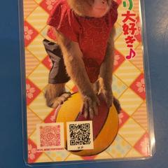 Brinquedo, como reportado por IKEA福岡新宮 utilizando o iLost