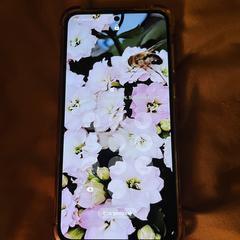 Samsung Galaxy S24, como reportado ao iLost