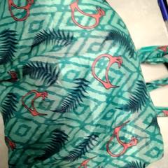 حقائب حمل وحقائب اليد Gekleurd، كما تم الإبلاغ عنه بواسطة Arriva Friesland / Groningen عبر iLost