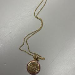 Ketting, zoals gemeld door Burgers' Zoo met iLost