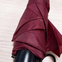 Deštník Donkerrood, inklapbaar, jak nahlášeno Qbuzz Fryslân pomocí iLost