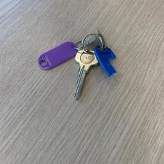 Nycklar paars en blauw tag, rapporterat av Van Heugten Tours med iLost