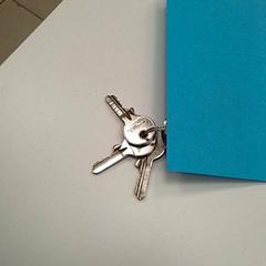 Giltza-giltza DE CLÉS, gisa salatu by ilévia iLost erabiliz