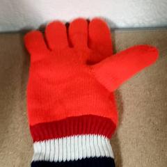 Handschuh Oranje, gemeldet von Qbuzz GD Groningen Peizerweg über iLost