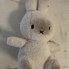 Knuffel Nijntje, amint azt Artis az iLost segítségével jelentette.