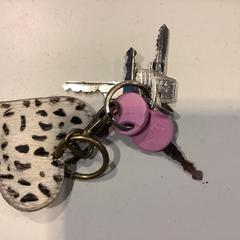 Sleutels, gemeldet von Gemeente Amsterdam über iLost