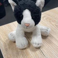 Knuffel, zoals gemeld door Pathé Ypenburg met iLost