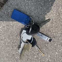 Sleutelbos, segundo informou a iLost