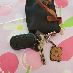 Sleutels an iLost gemeldet