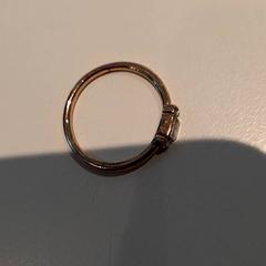 Squillo, come riportato da Campus Den Haag utilizzando iLost