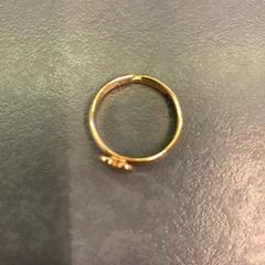 Ring, as reported by Eindhoven Airport using iLost