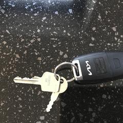 Sleutelbos, jak zgłoszono do iLost