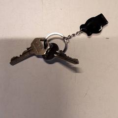 Chave, como reportado por Qbuzz ZHN utilizando o iLost