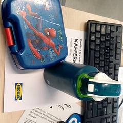 Caixa de almacenamento de alimentos Bleu, segundo informou IKEA Brest Guipavas usando iLost