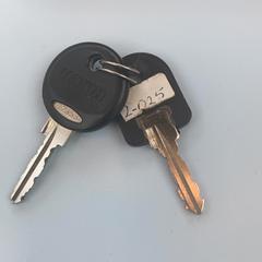 Nøkler, som rapportert av UMC Utrecht ved bruk av iLost