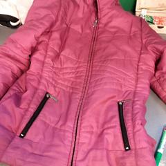 Veste, a été signalé par Diergaarde Blijdorp utilisant iLost