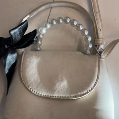 Taška, ako bolo nahlásené Het Amsterdamse Winterparadijs pomocou iLost