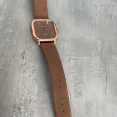 손목시계, iLost를 사용하여 Arriva Achterhoek-Rivierenland에 보고됨