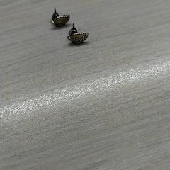 피어싱 Goud kleurig, iLost를 사용하여 Zuyderland MC Heerlen에 보고됨