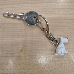 Kulcs Hondje, amint azt IKEA Eindhoven az iLost segítségével jelentette.