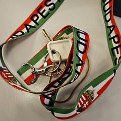 Chiavi, come riportato da Vrije Universiteit Amsterdam utilizzando iLost