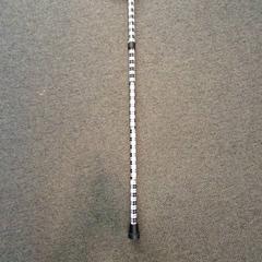 Bâtons de marche, a été signalé par Keukenhof utilisant iLost