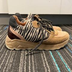 좀도둑 Bruin, zebraprint, iLost를 사용하여 Gemeente Leudal에 보고됨
