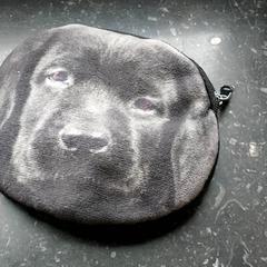 Peněženka De Fleyt, jak nahlášeno Regio Oost-Vlaanderen pomocí iLost