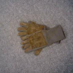 Gloves, as reported by SnowWorld Landgraaf using iLost