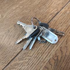 Sleutelbos, iLost-i jakinarazi zaion moduan