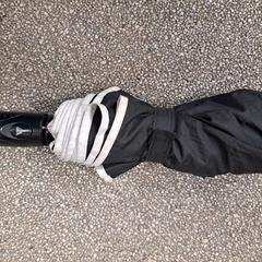 Papaplu zwart/wit, gemeldet von Regio Limburg - Leuven über iLost