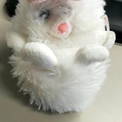 Knuffel Wit, iLost를 사용하여 Burgers' Zoo에 보고됨
