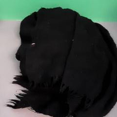 شال، كما تم الإبلاغ عنه بواسطة Diergaarde Blijdorp عبر iLost