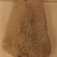 Brillendoosje, amint azt Arriva Limburg Noord az iLost segítségével jelentette.