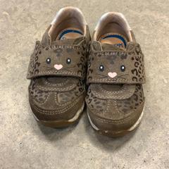 Bota Bruin, jak nahlášeno Artis pomocí iLost