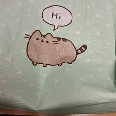 Bag, as reported by RET using iLost