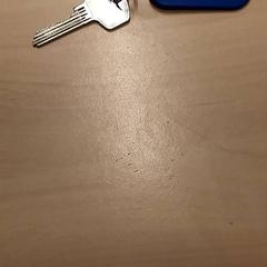 Nøkkel, som rapportert av RET ved bruk av iLost