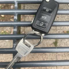 VE car keys, as reported to iLost