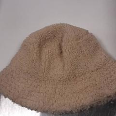 Kalap, amint azt Diergaarde Blijdorp az iLost segítségével jelentette.