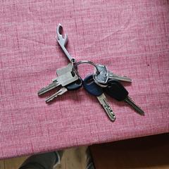 Sleutelbos, segundo informou a iLost