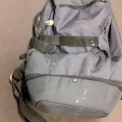 Bag, as reported by RET using iLost