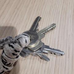 Sleutelbos met meerdere sleutelhangers, ha sido reportado por Gemeente Westervoort con iLost