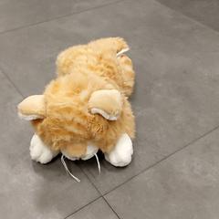 様々な - Knuffel がiLostで Centraal magazijn によって報告されました