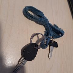 Sleutels 2 sleutels aan koord, zoals gemeld door Alrijne Leiderdorp met iLost
