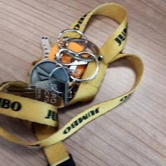 Porte-clés, a été signalé par Arriva West-Brabant utilisant iLost