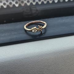 Ring, jak bylo nahlášeno na iLost