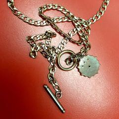 Náhrdelník, ako bolo nahlásené UvA REC pomocou iLost