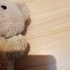 Peluche, como reportado por Beekse Bergen Resorts en Hotel utilizando o iLost
