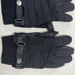 장갑 Zwart, iLost를 사용하여 Koninklijk Theater Carré에 보고됨