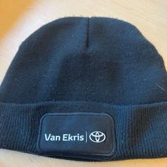 Beanie, zgłoszono przez Gemeente Stichtse Vecht przy użyciu iLost